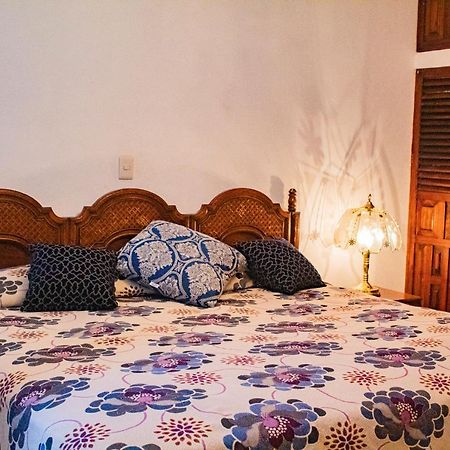 Villa Flores, Casa En El Centro De Mascota Bagian luar foto