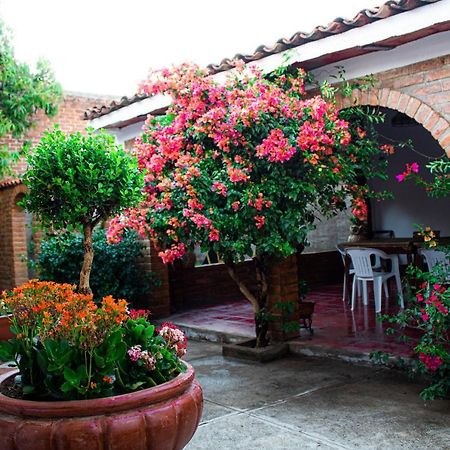 Villa Flores, Casa En El Centro De Mascota Bagian luar foto