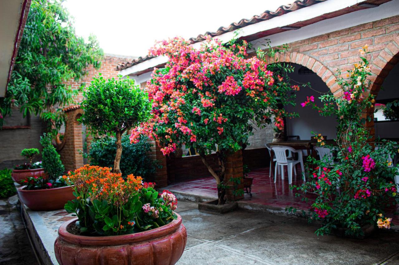 Villa Flores, Casa En El Centro De Mascota Bagian luar foto
