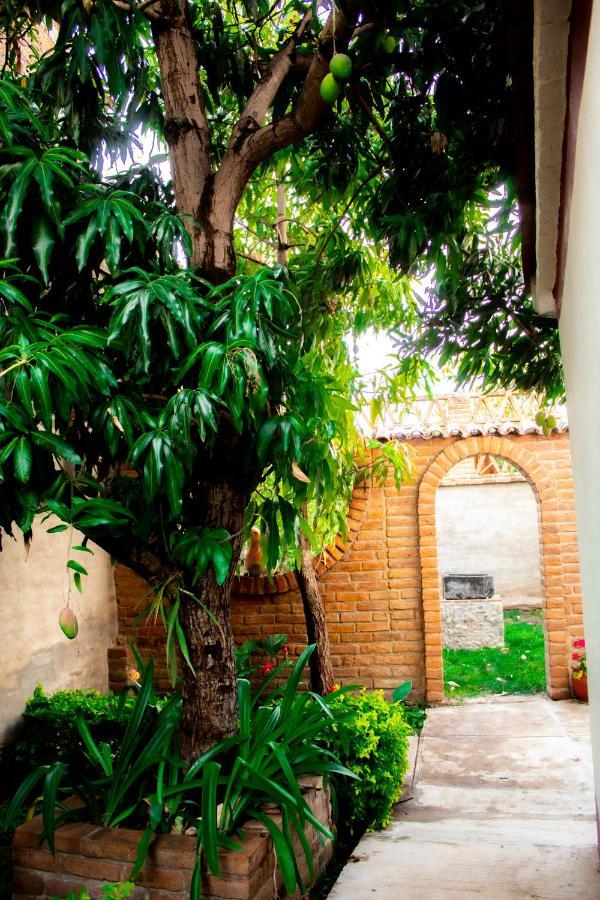 Villa Flores, Casa En El Centro De Mascota Bagian luar foto